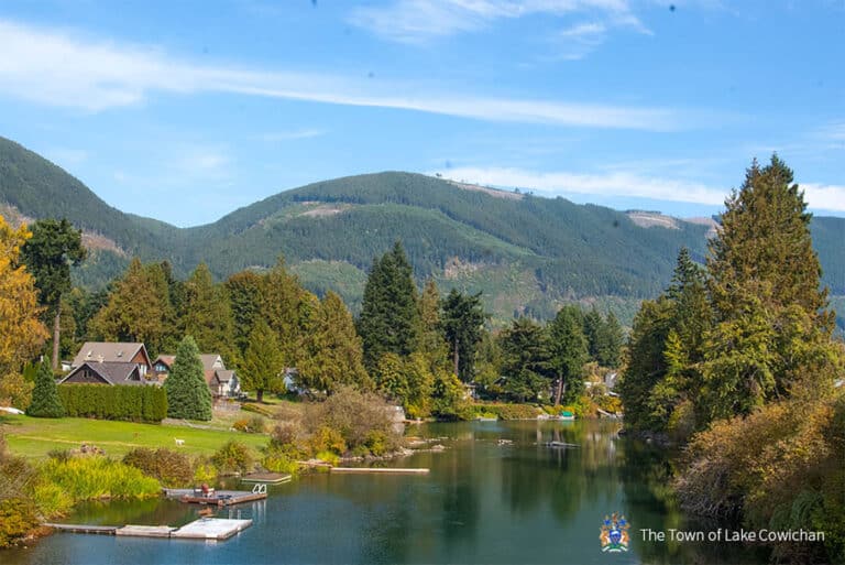Aerial view of Lake Cowichan with homes and trees